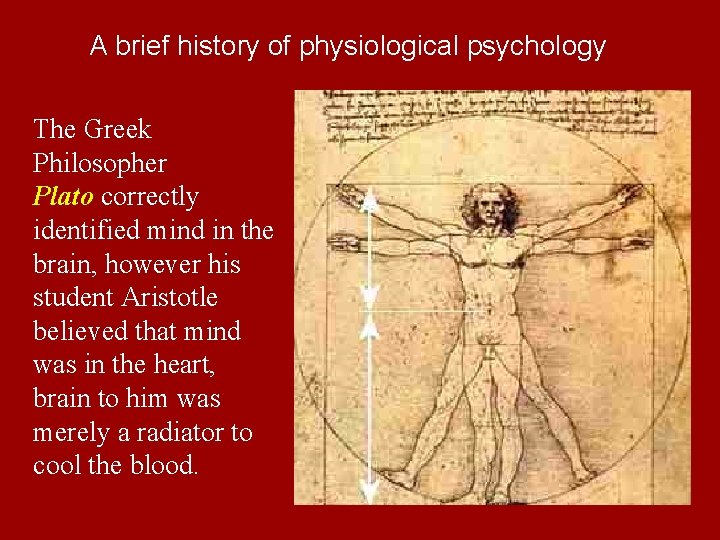 A brief history of physiological psychology The Greek Philosopher Plato correctly identified mind in