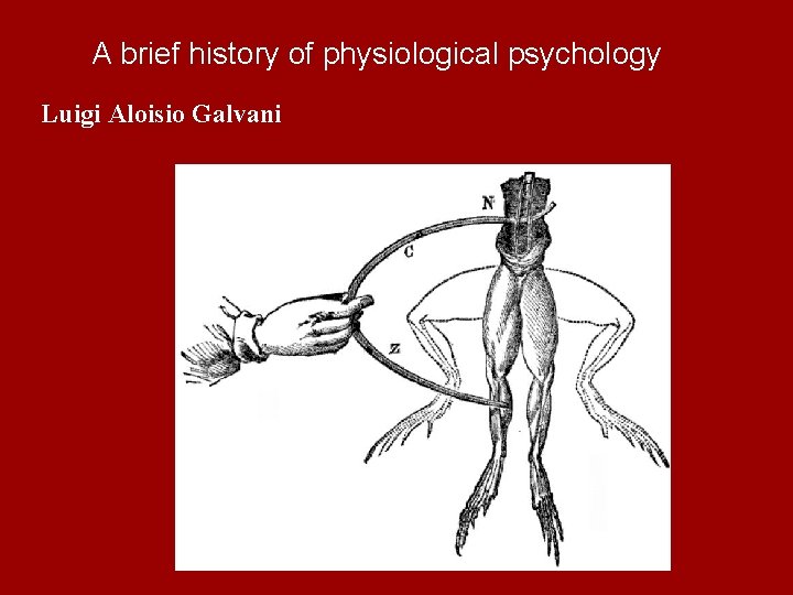 A brief history of physiological psychology Luigi Aloisio Galvani 