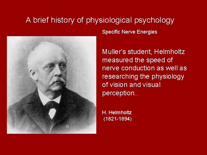 A brief history of physiological psychology Specific Nerve Energies Muller’s student, Helmholtz measured the