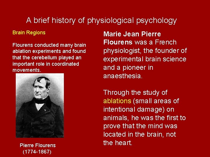 A brief history of physiological psychology Brain Regions Flourens conducted many brain ablation experiments
