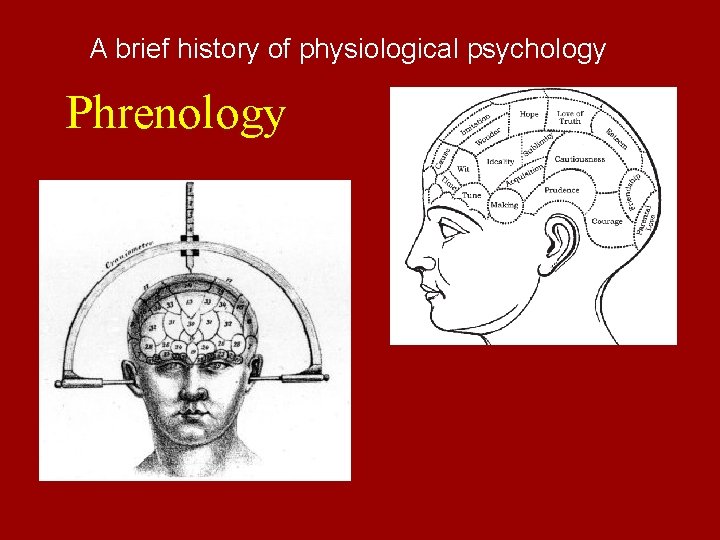 A brief history of physiological psychology Phrenology 