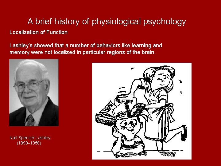 A brief history of physiological psychology Localization of Function Lashley’s showed that a number