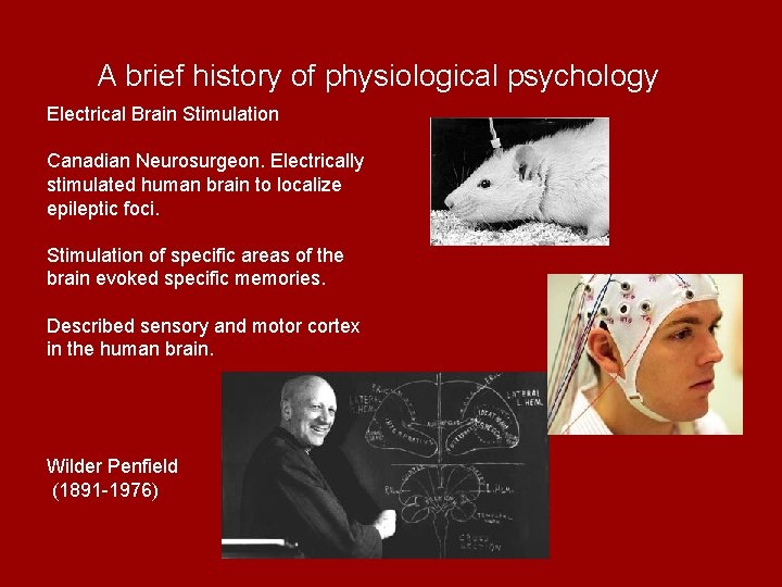 A brief history of physiological psychology Electrical Brain Stimulation Canadian Neurosurgeon. Electrically stimulated human