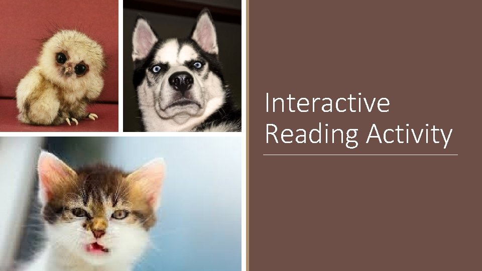 Interactive Reading Activity 