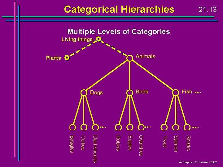 Categorical Hierarchies 21. 13 Multiple Levels of Categories Living things Plants Sharks Salmon Trout