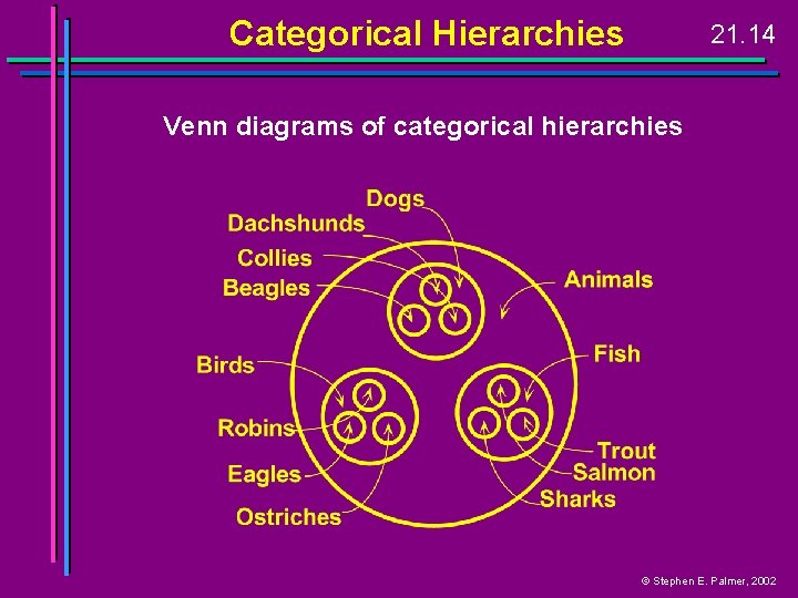 Categorical Hierarchies 21. 14 Venn diagrams of categorical hierarchies © Stephen E. Palmer, 2002