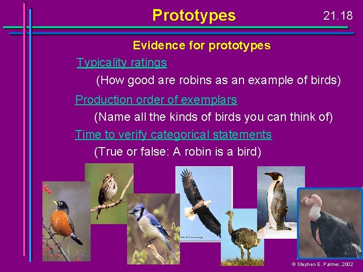 Prototypes 21. 18 Evidence for prototypes Typicality ratings (How good are robins as an