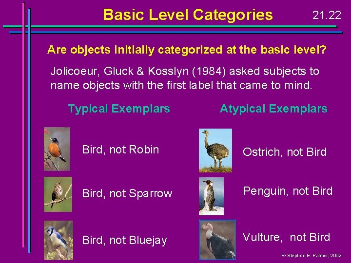 Basic Level Categories 21. 22 Are objects initially categorized at the basic level? Jolicoeur,