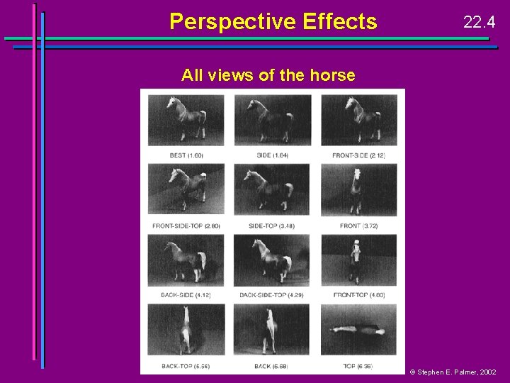 Perspective Effects 22. 4 All views of the horse © Stephen E. Palmer, 2002