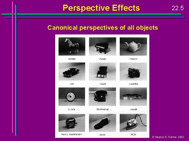 Perspective Effects 22. 5 Canonical perspectives of all objects © Stephen E. Palmer, 2002