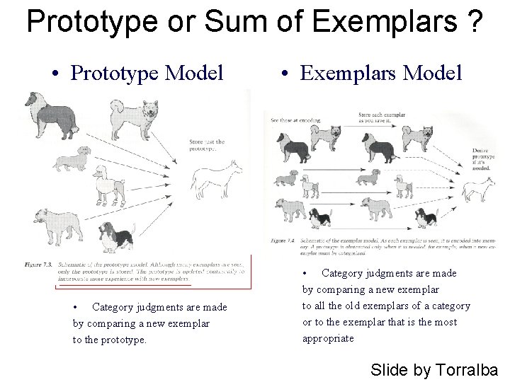 Prototype or Sum of Exemplars ? • Prototype Model • Category judgments are made