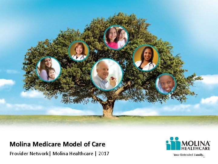 Molina Medicare Model of Care Provider Network| Molina Healthcare | 2017 1 