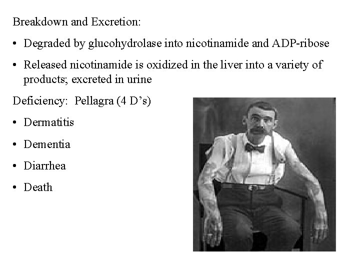 Breakdown and Excretion: • Degraded by glucohydrolase into nicotinamide and ADP-ribose • Released nicotinamide