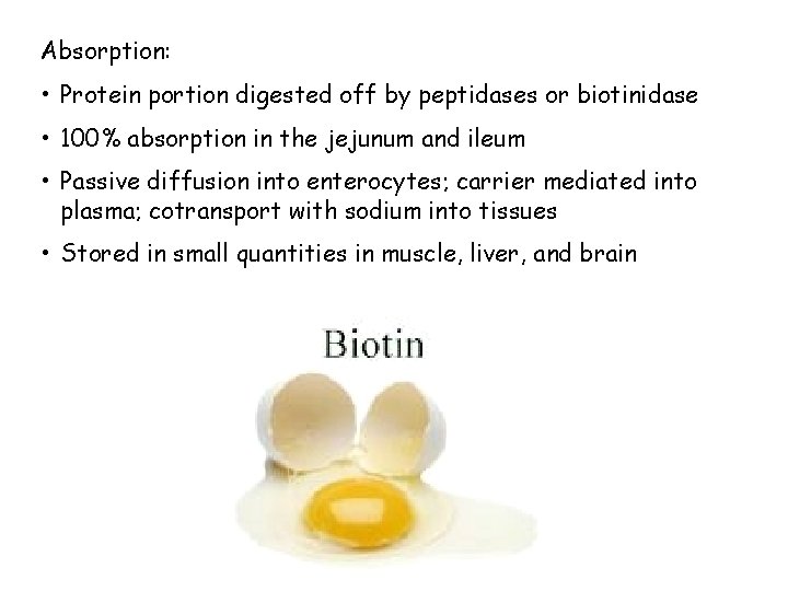 Absorption: • Protein portion digested off by peptidases or biotinidase • 100% absorption in