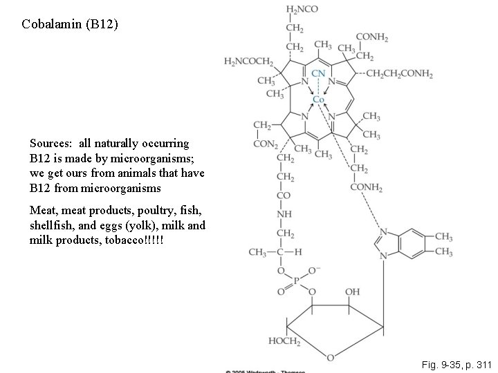 Cobalamin (B 12) Sources: all naturally occurring B 12 is made by microorganisms; we