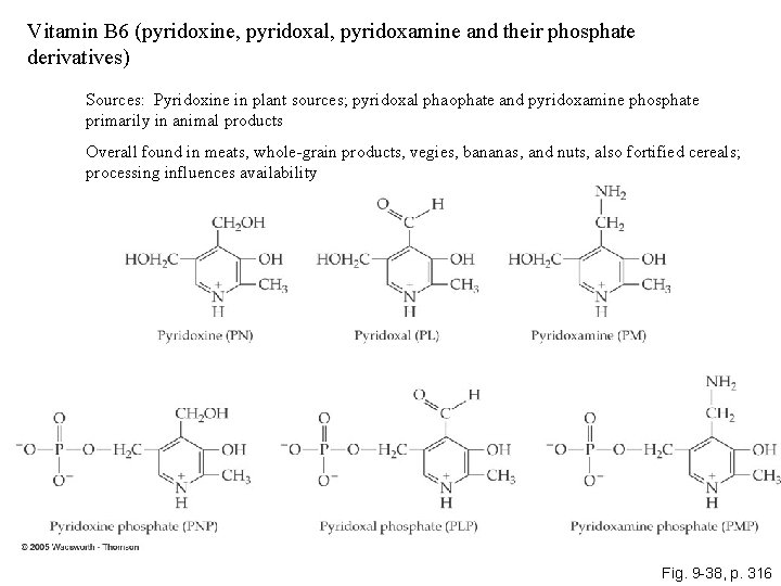 Vitamin B 6 (pyridoxine, pyridoxal, pyridoxamine and their phosphate derivatives) Sources: Pyridoxine in plant