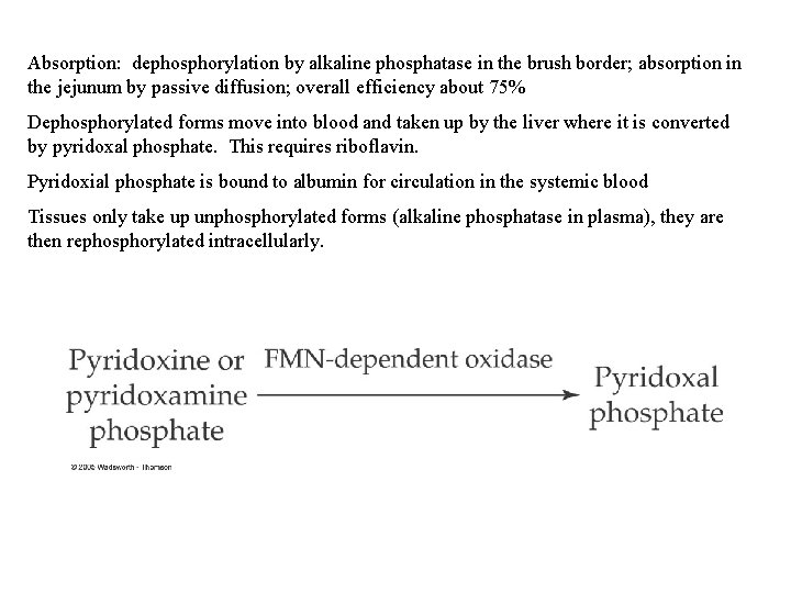 Absorption: dephosphorylation by alkaline phosphatase in the brush border; absorption in the jejunum by