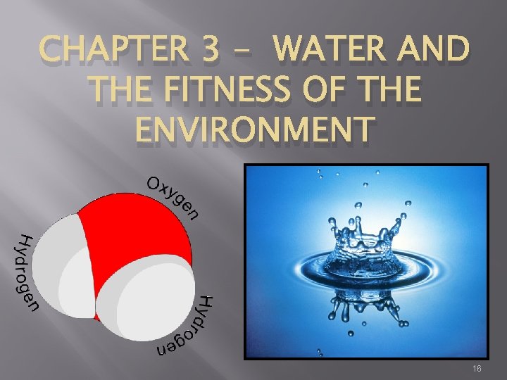 CHAPTER 3 - WATER AND THE FITNESS OF THE ENVIRONMENT 16 