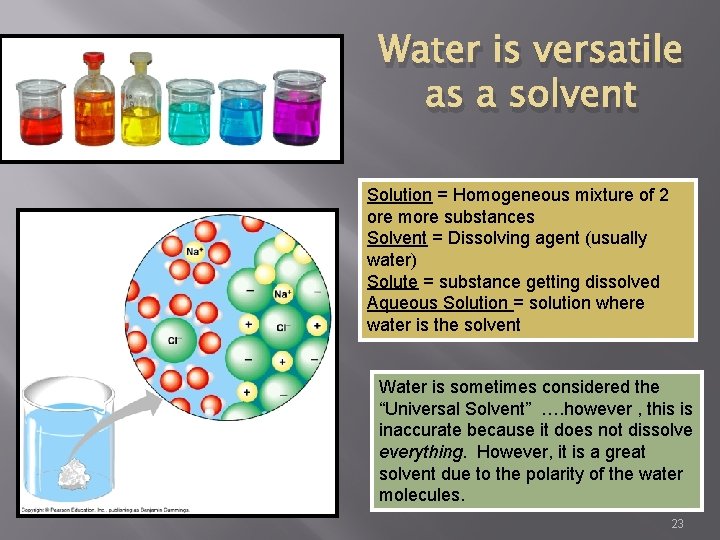 Water is versatile as a solvent Solution = Homogeneous mixture of 2 ore more