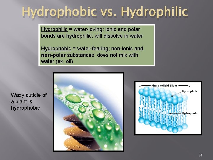 Hydrophobic vs. Hydrophilic = water-loving; ionic and polar bonds are hydrophilic; will dissolve in