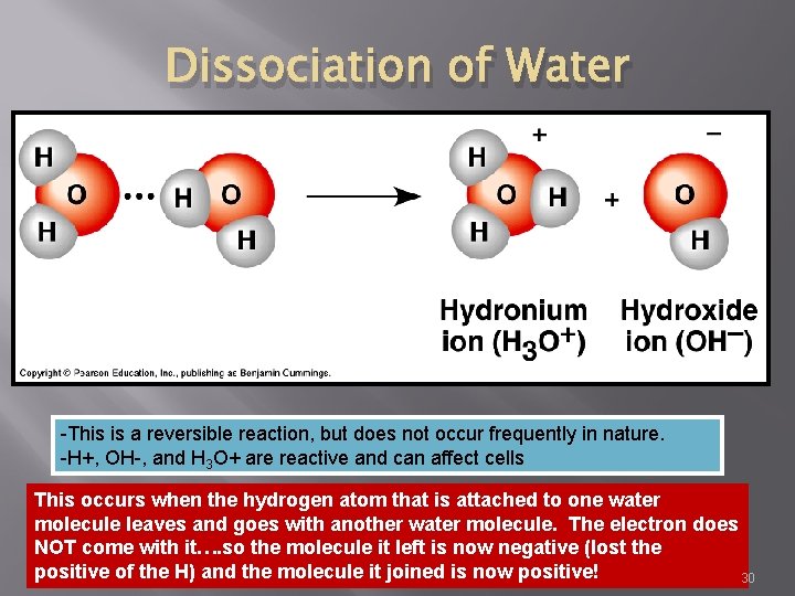 Dissociation of Water -This is a reversible reaction, but does not occur frequently in