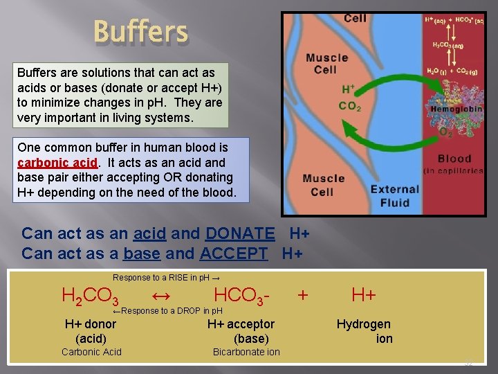 Buffers are solutions that can act as acids or bases (donate or accept H+)