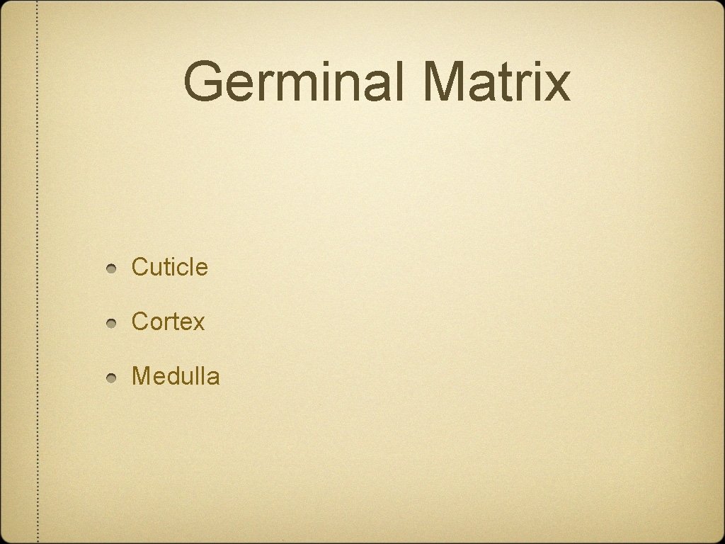 Germinal Matrix Cuticle Cortex Medulla 