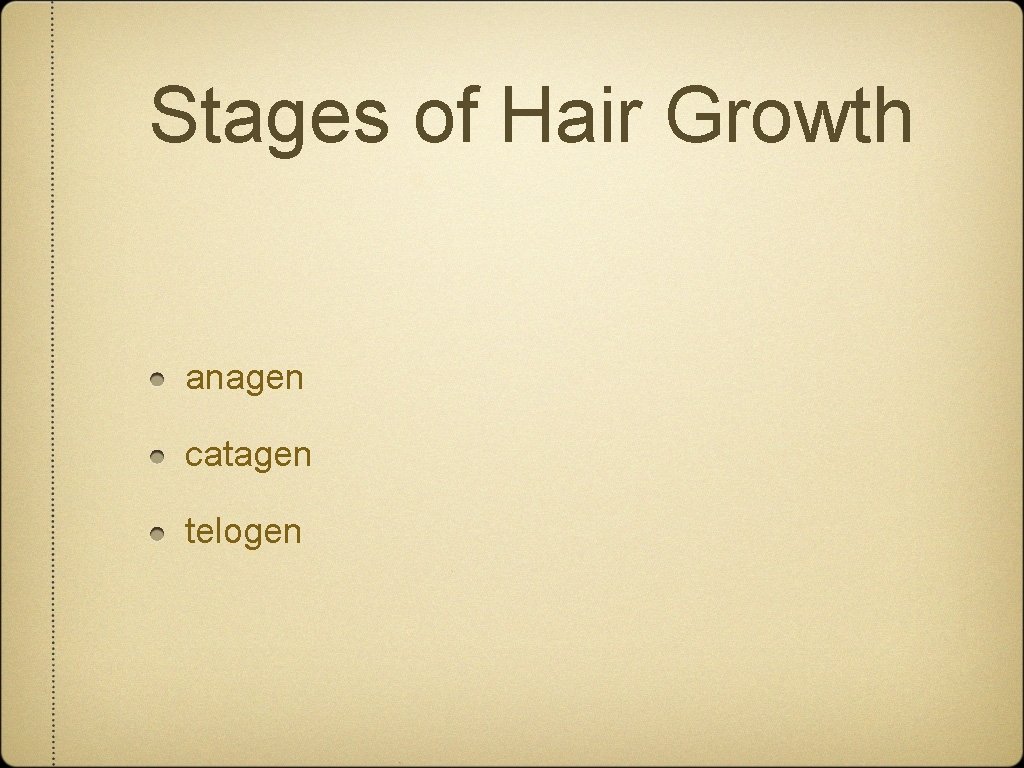 Stages of Hair Growth anagen catagen telogen 