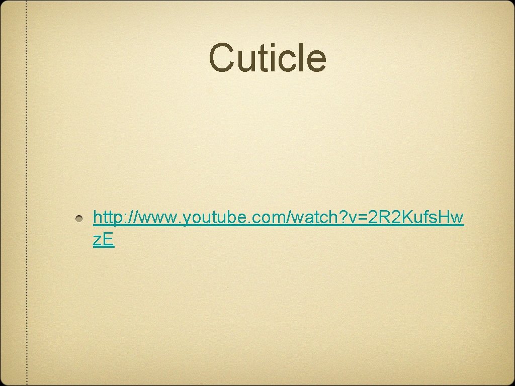 Cuticle http: //www. youtube. com/watch? v=2 R 2 Kufs. Hw z. E 