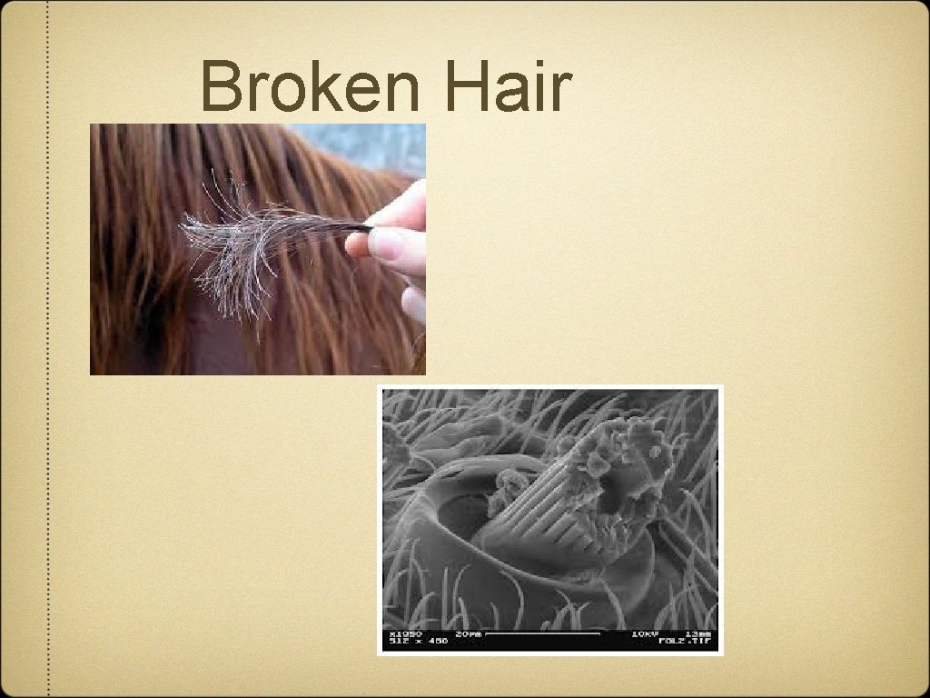 Broken Hair 