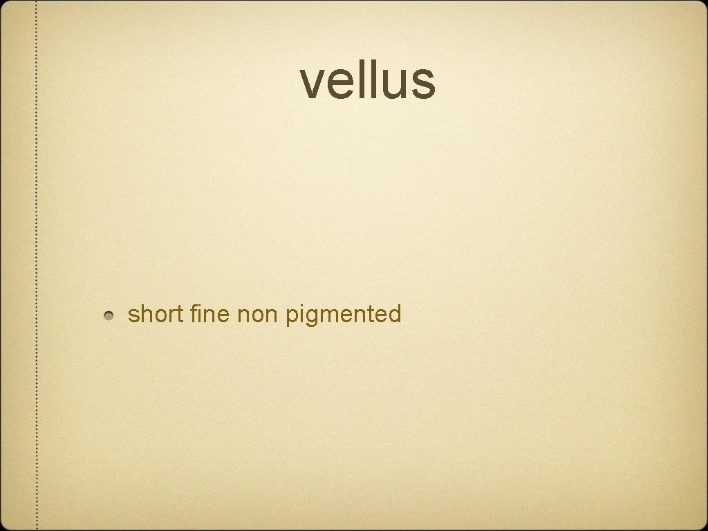 vellus short fine non pigmented 