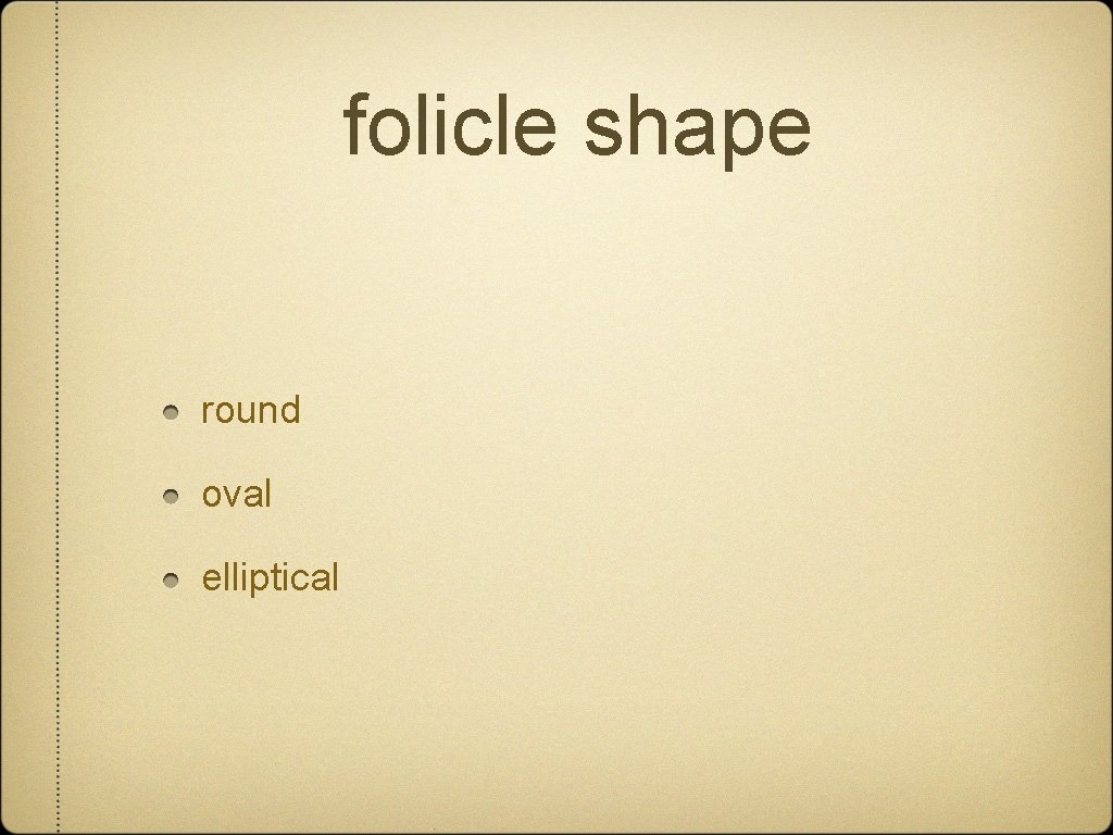 folicle shape round oval elliptical 