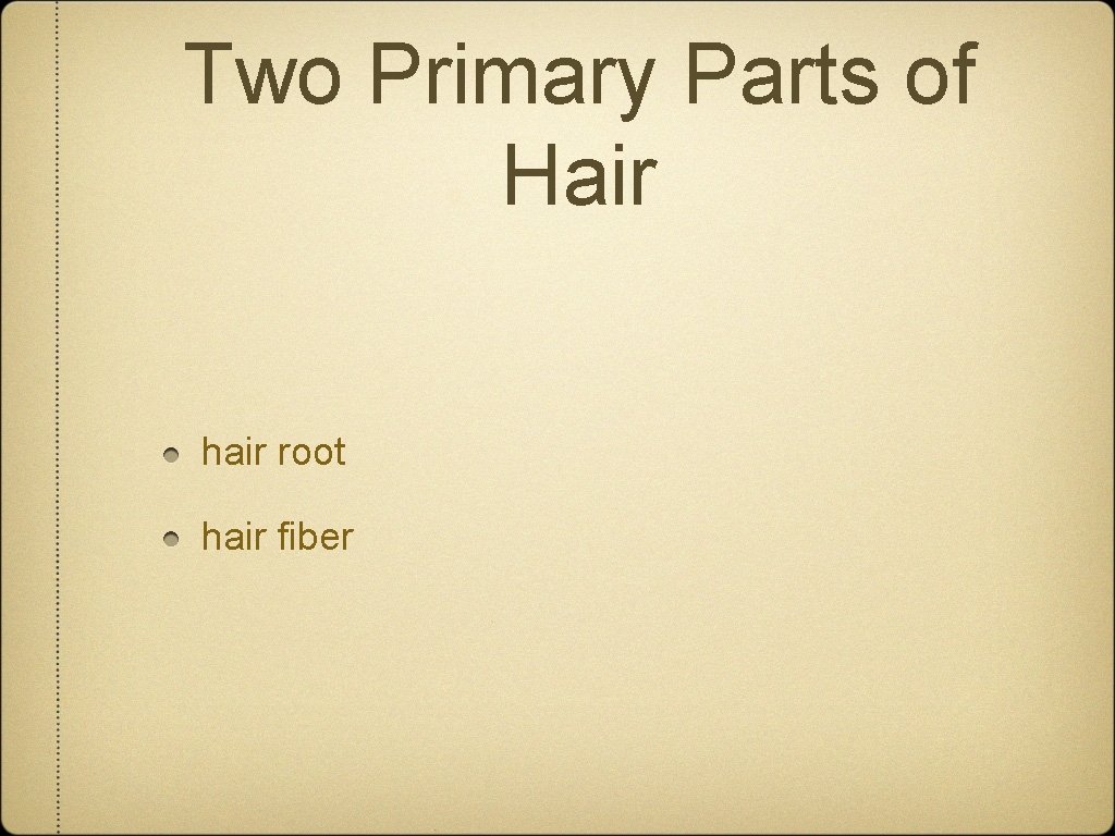 Two Primary Parts of Hair hair root hair fiber 
