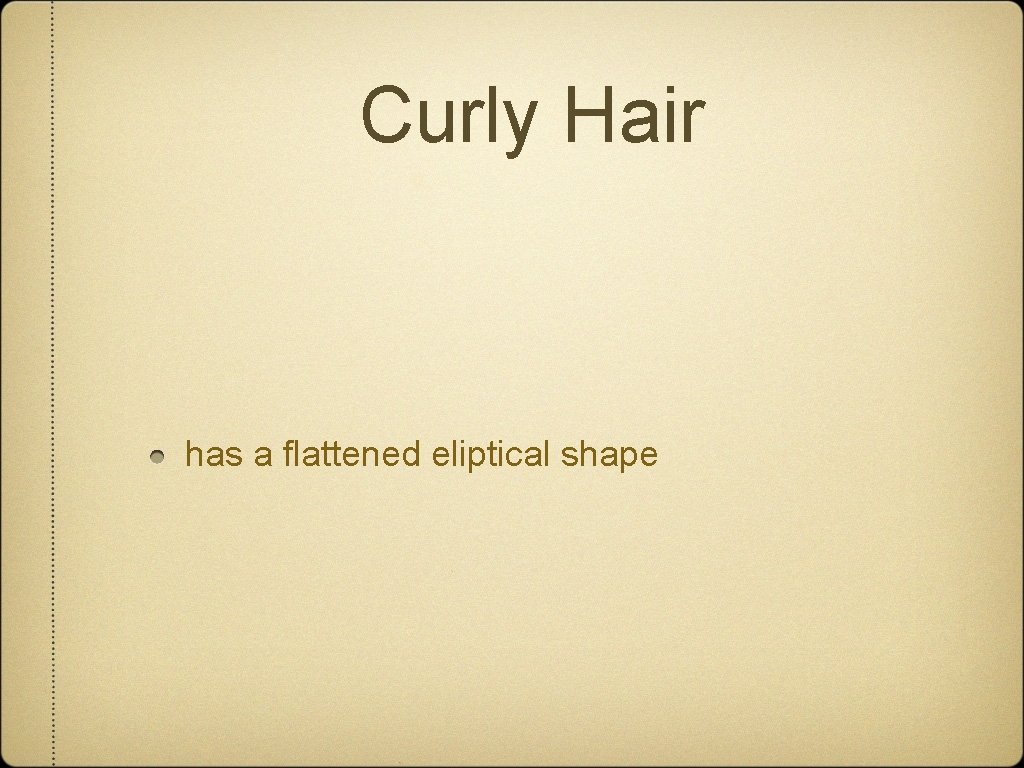 Curly Hair has a flattened eliptical shape 