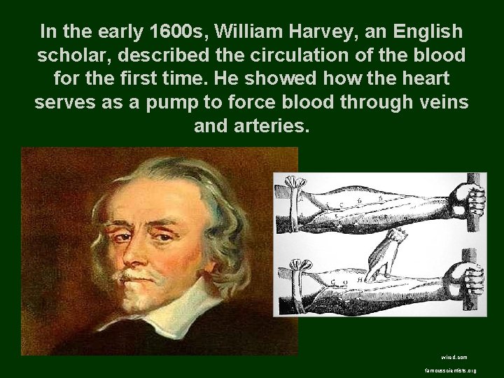 In the early 1600 s, William Harvey, an English scholar, described the circulation of