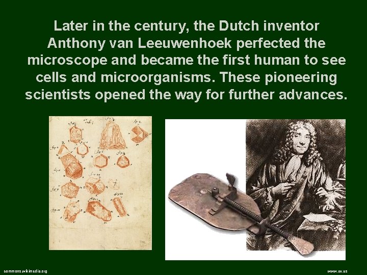 Later in the century, the Dutch inventor Anthony van Leeuwenhoek perfected the microscope and