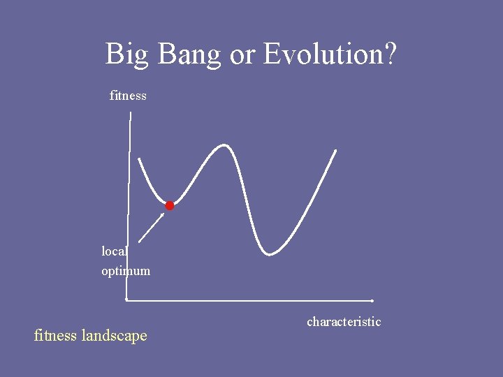 Big Bang or Evolution? fitness local optimum fitness landscape characteristic 