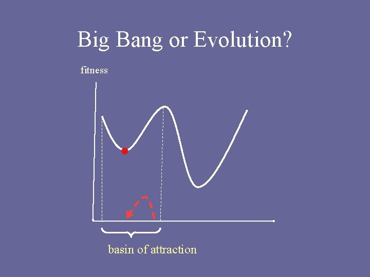 Big Bang or Evolution? fitness basin of attraction 
