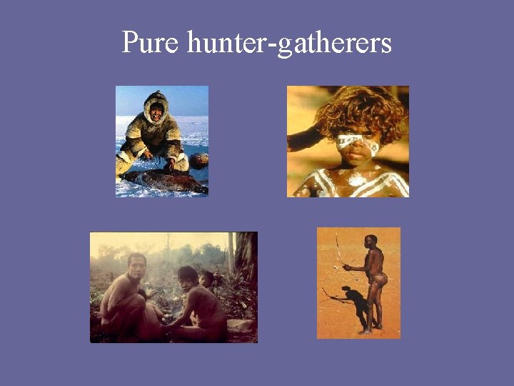 Pure hunter-gatherers 