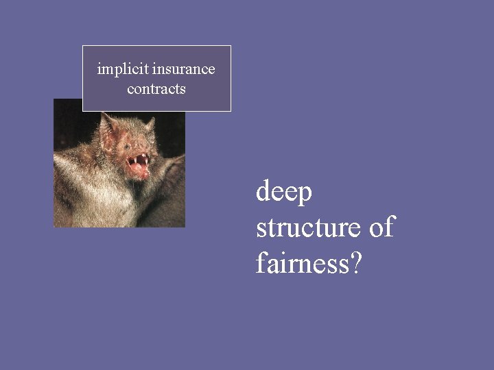 implicit insurance contracts deep structure of fairness? 