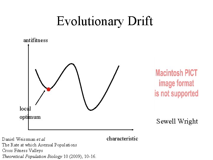 Evolutionary Drift antifitness local optimum Daniel Weissman et al The Rate at which Asexual