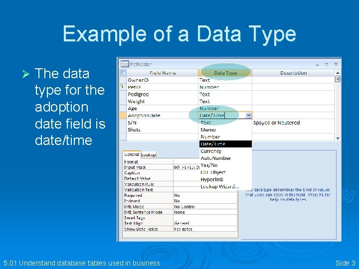 Example of a Data Type Ø The data type for the adoption date field