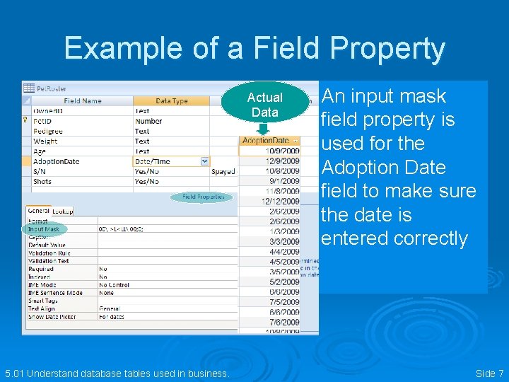Example of a Field Property Actual Data 5. 01 Understand database tables used in