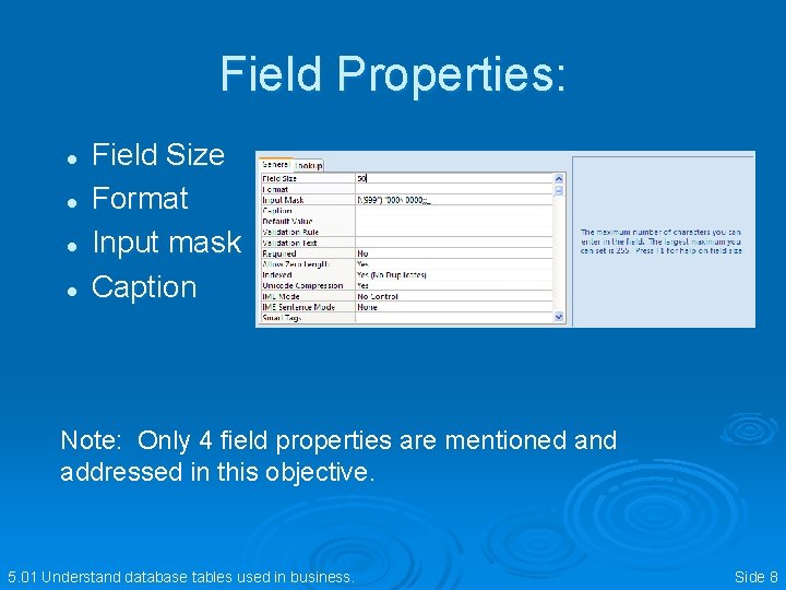 Field Properties: l l Field Size Format Input mask Caption Note: Only 4 field