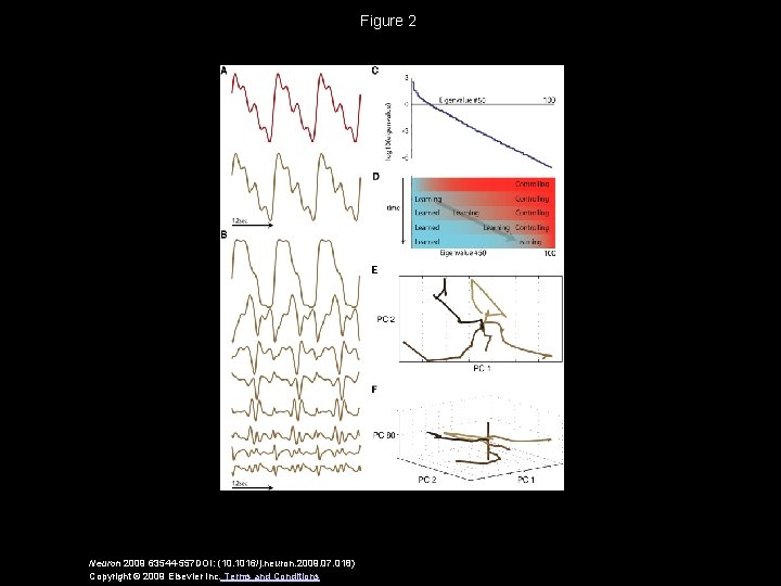 Figure 2 Neuron 2009 63544 -557 DOI: (10. 1016/j. neuron. 2009. 07. 018) Copyright