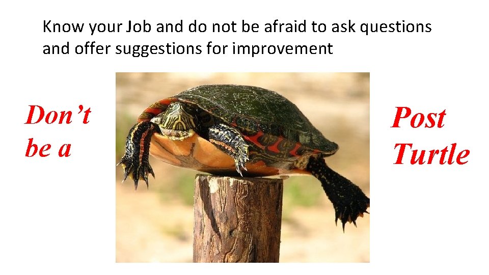 Know your Job and do not be afraid to ask questions and offer suggestions