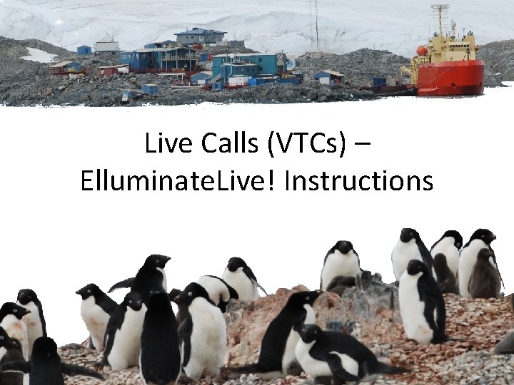 Live Calls (VTCs) – Elluminate. Live! Instructions 