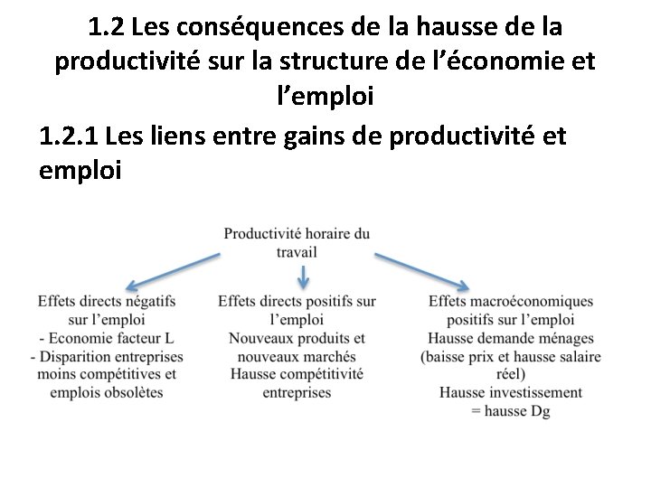 1. 2 Les conséquences de la hausse de la productivité sur la structure de