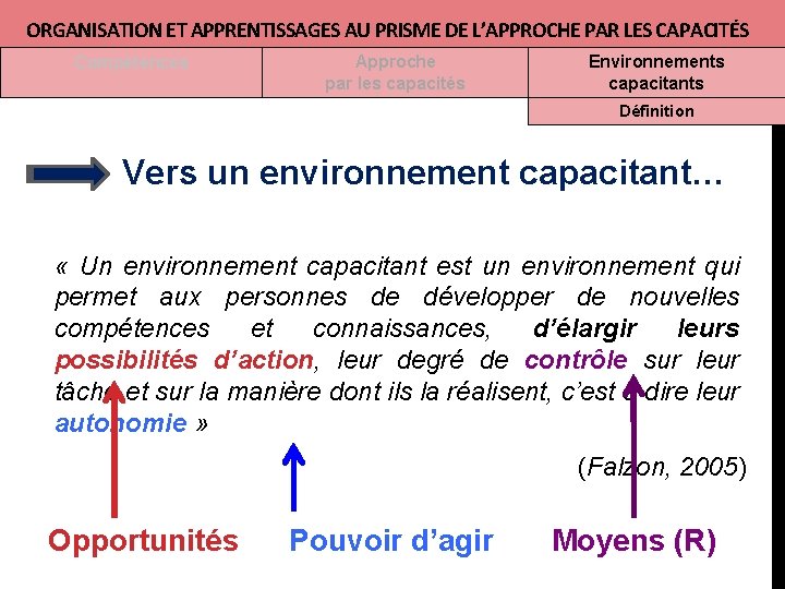 ORGANISATION ET APPRENTISSAGES AU PRISME DE L’APPROCHE PAR LES CAPACITÉS Compétences Approche par les