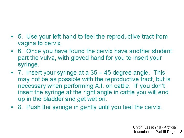  • 5. Use your left hand to feel the reproductive tract from vagina